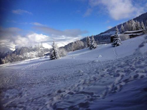 vue du balcon hiver